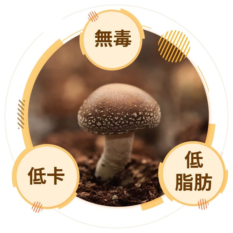 活力菇菇湯是什麼?五種菇+黃金蟲草的健康湯品!提升元氣的暖心首選 香菇