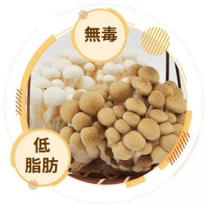 two_mushroom