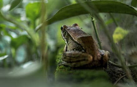 素食料理包的故事 About Pic05