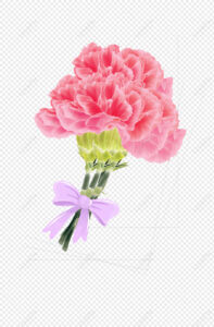 lovepik carnation png image 400374114 wh1200