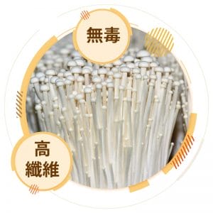 金針菇